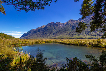 Naklejka premium view of Lake Gunn in Fiordland National park