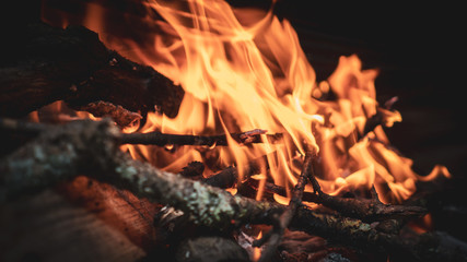 Fuego sombre le&ntilde;a 