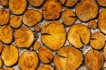 wall of wood logs