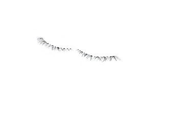 makeup false eye lashes on white background 