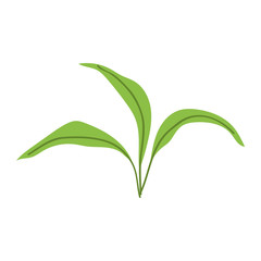 green leaves foliage ecology iocn