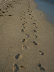 Mauritius 20017 - Orme sulla spiaggia