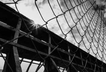La belleza del abandono capturada