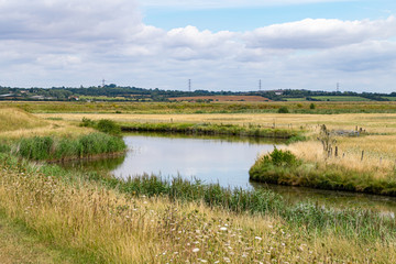 Environment of the mud flats in the Dengie Penisula around South Woodham Ferrers. Essex. UK