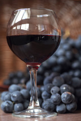 A glass of fragrant red wine and bunches of blue grapes
