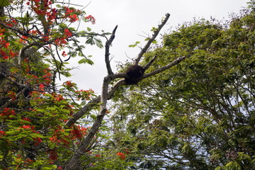 CRIADERO DE COCODRILOS