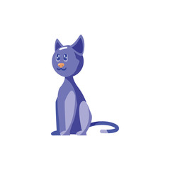 cute cat on white background