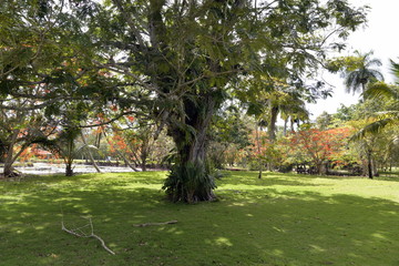 CRIADERO DE COCODRILOS