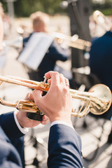 Vertical shot of an orchestra musician who plays the trumpet