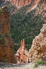 Fototapeta na wymiar Look through gorge at Bryce Canyon with trees in the valley