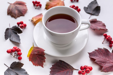White Tea Mug, Leaves and berries. Autumn composition. Red foliage, ceramic teacup and small fruits on white background. Fallen leaf and rowanbery flat lay. Fall season creative botanical backdrop