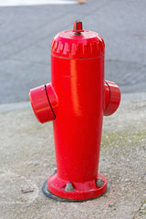 Red Fire Hydrant