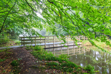 Watercourses with  remnants of hydraulic experimental installations in the Waterloopbos in the Dutch province of Flevoland