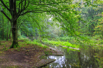 Obraz na płótnie Canvas Watercourses with remnants of hydraulic experimental installations in the Waterloopbos in the Dutch province of Flevoland