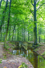 Watercourses with  remnants of hydraulic experimental installations in the Waterloopbos in the Dutch province of Flevoland