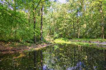 Obraz premium Watercourses with remnants of hydraulic experimental installations in the Waterloopbos in the Dutch province of Flevoland