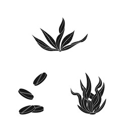 Obraz premium Vector illustration of grass and natural icon. Set of grass and seaweed vector icon for stock.