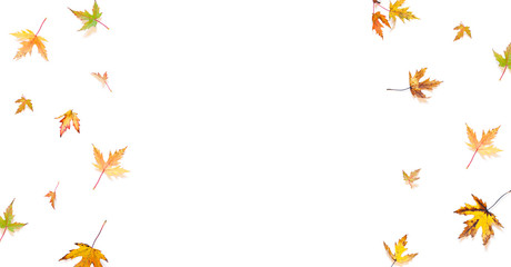 Colorful Autumn leaves concept frame on the white background. Top view. Copy space