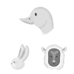 Vector design of countryside and homestead logo. Set of countryside and breeding vector icon for stock.