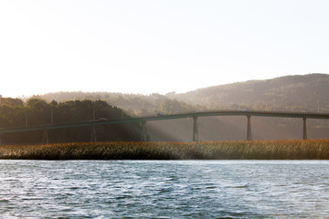 río cruces bridge