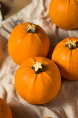 Raw Organic Mini Orange Pumpkins