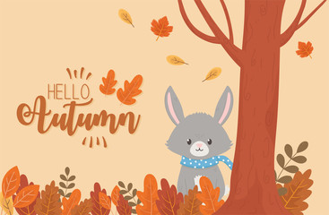 cute animal hello autumn season design