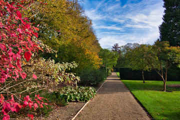 path and colored leaves in the garden