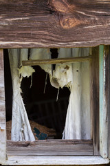 Tattered curtain in vintage home 