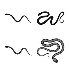 Vector design of mammal and danger symbol. Set of mammal and medicine stock vector illustration.