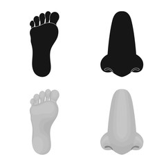 Vector design of body and part sign. Collection of body and anatomy vector icon for stock.