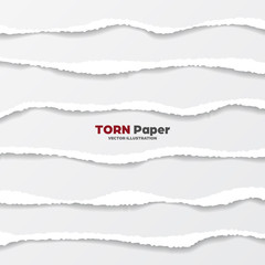 Realistic torn paper edges collection on gray background. White ripped paper strips. Vector illustration.