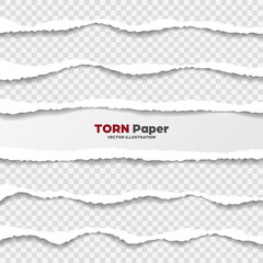 Realistic torn paper edges collection on transparent background. White ripped paper strips. Vector illustration.