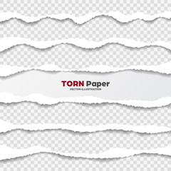 Realistic torn paper edges collection on transparent background. White ripped paper strips. Vector illustration.