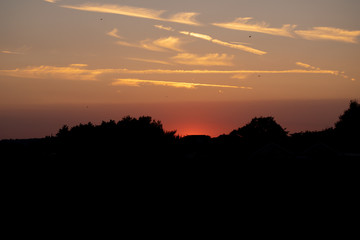 Silhouette landscape just after sunset in Sussex with aeroplane trails and birds