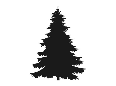 spruce tree silhouette. Christmas and New Year design element