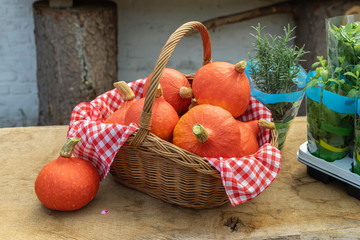 Few bright organic pumpkins in a wicker basket with a napkin. Harvest holidays, Thanksgiving Day, Halloween