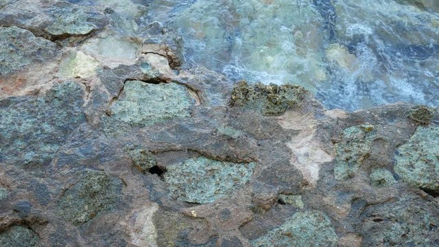 Crab with claws creeping on petrified coral stones and rocks near water sea or ocean on beach