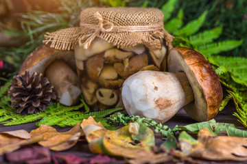 Mushroom Boletus in wooden wicker basket. Boletus edulis over Wood Background, close up on rustic table.  Cooking delicious organic mushroom. Gourmet food,Autumn Cep Mushrooms. Mushrooms Picking