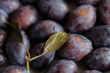 Plums macro in wood plate
