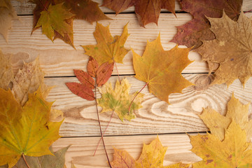 Naklejka na ściany i meble Autumn yellow foliage on the wooden planks. Autumn background concept. Leaf fal. Copy space..