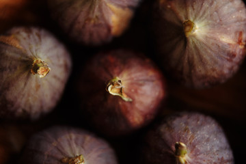 figs macro