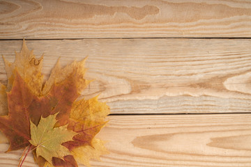 Naklejka na ściany i meble Autumn yellow foliage on the wooden planks. Autumn background concept. Leaf fal. Copy space..