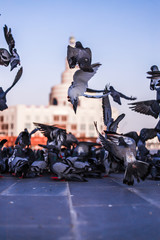 statue of liberty in city