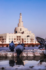 statue of liberty in city