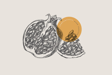 Hand-drawn pomegranate on light isolated background. Natural fruit in sectional view. Can be used for restaurant menu design, cafe, product packaging and cosmetics design. Vector vintage illustration