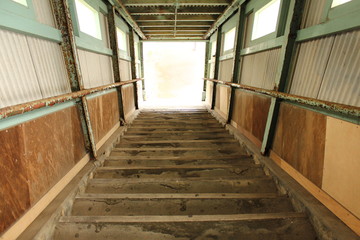 Obraz premium 駅 階段