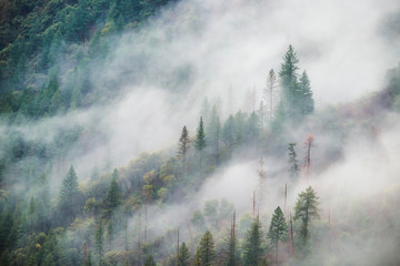 Fog and mist passing over a mountain ridge after a storm in the Sierra Nevada Mountains of Northern California.