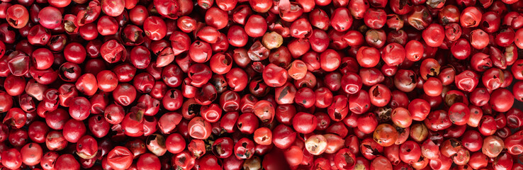 Red Whole Peppercorns Panorama