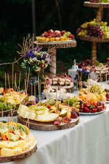 Beautiful wedding candy bar with a lot of  sweets, fruits and food. Wedding banquet table