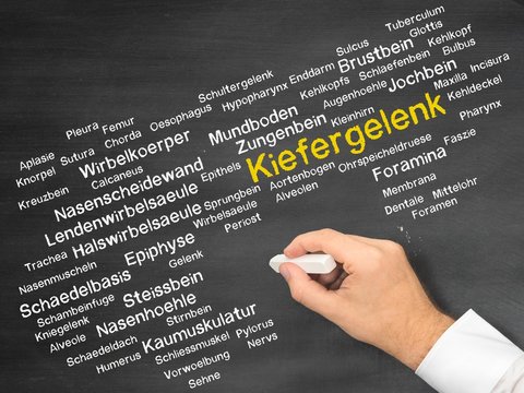 Kiefergelenk